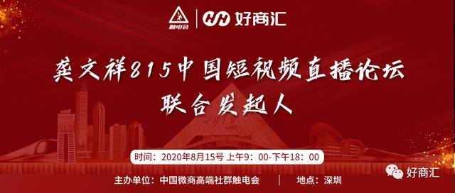 澳门六叔公高手论谈，深度解析与视频完整版揭秘