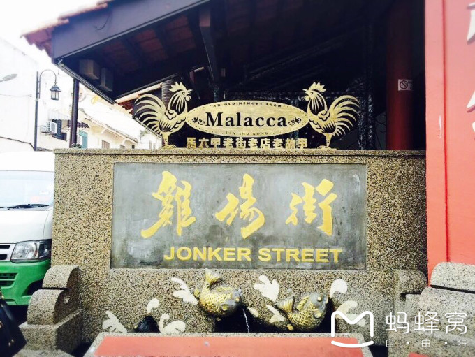 揭秘今日新澳门六叔公的特肖，探寻背后的神秘与智慧