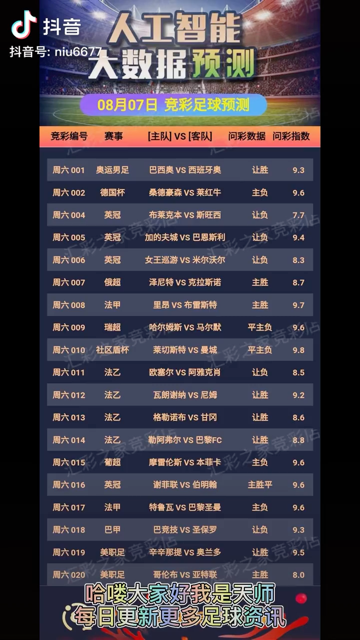 澳门六星天天彩官网，365天开奖的神秘与魅力
