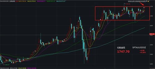 澳门六福珠宝官网今日金价表一览，金市风云，六福引领