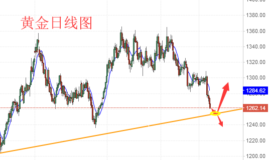 澳门六福珠宝今日最新金价走势图解析